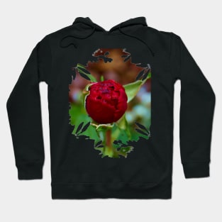 Rose Bud Hoodie